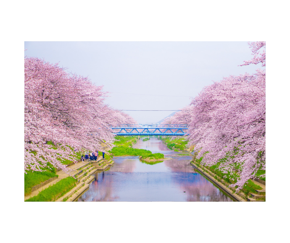 スクール探しの英会話 電話での問い合わせ トライアルの申し込み Chuzumaeigo Com